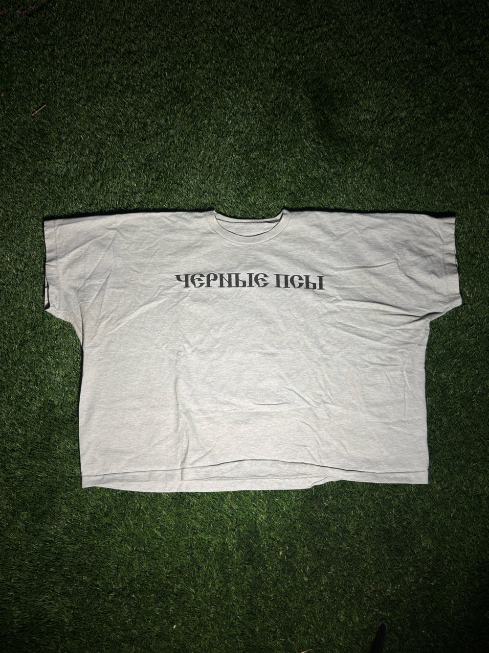 Light Gray Graphic Cropped T-Shirt